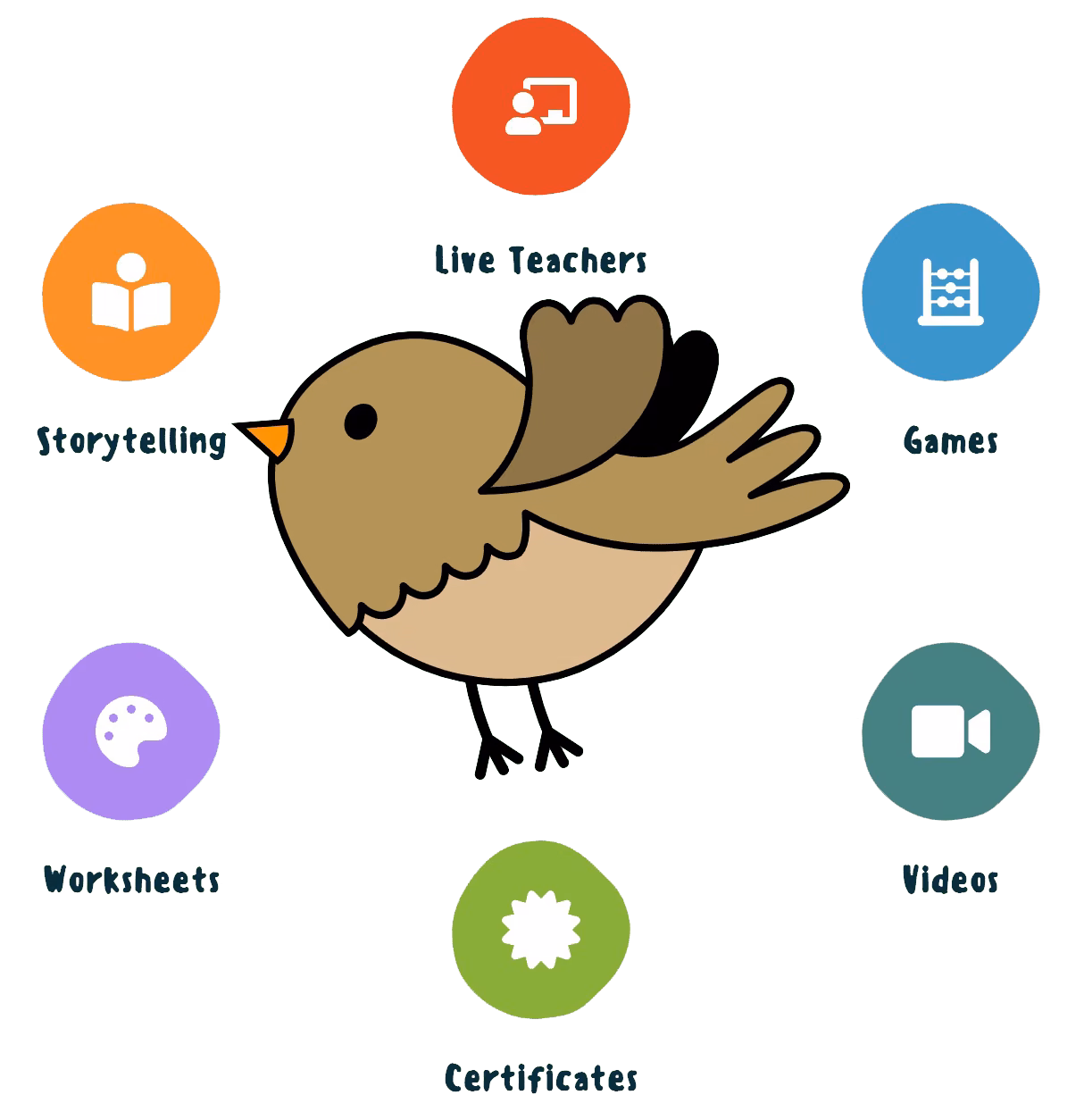 bird coloured